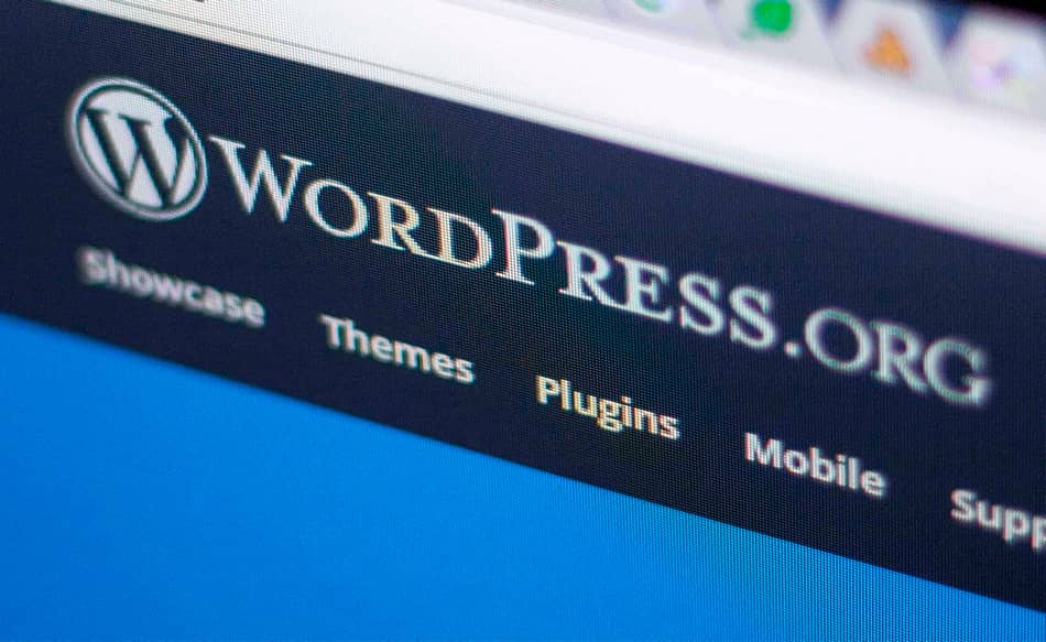 Эффективное SEO продвижение сайта на Wordpress